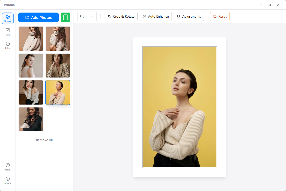 Pritana Main Window Interface